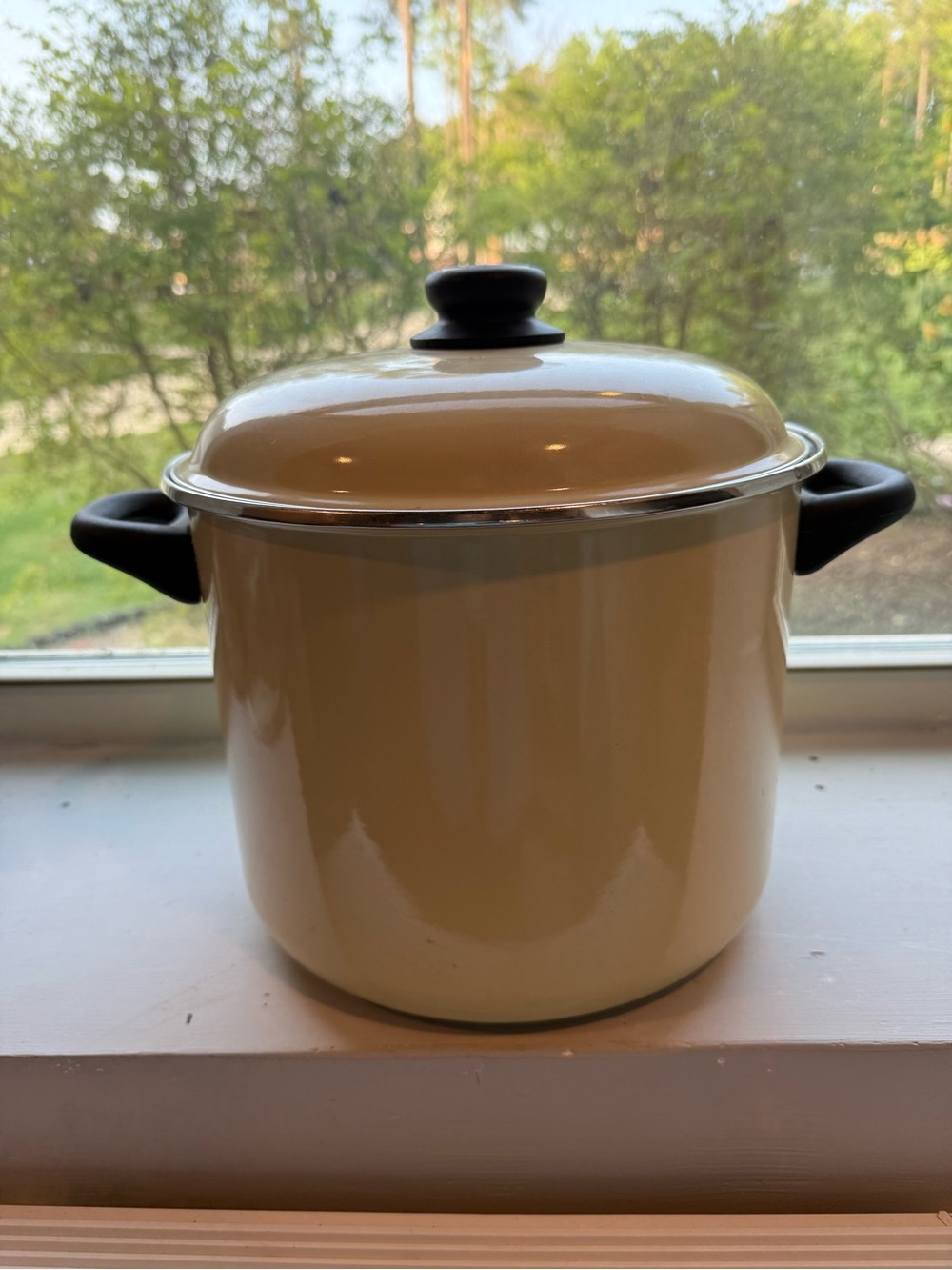 Vintage Megaware enameled stock pot with lid